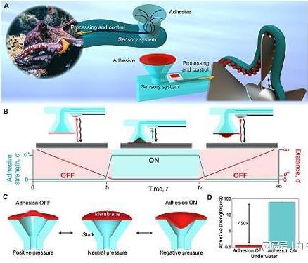 受章魚吸盤的啟發(fā)，他們3D打印了水下抓握手套 微信截圖_20230304162715