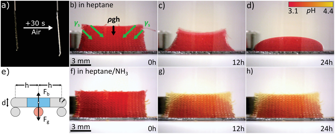 漢堡大學：直接墨水書寫技術3D打印TiO2納米粒子氣凝膠