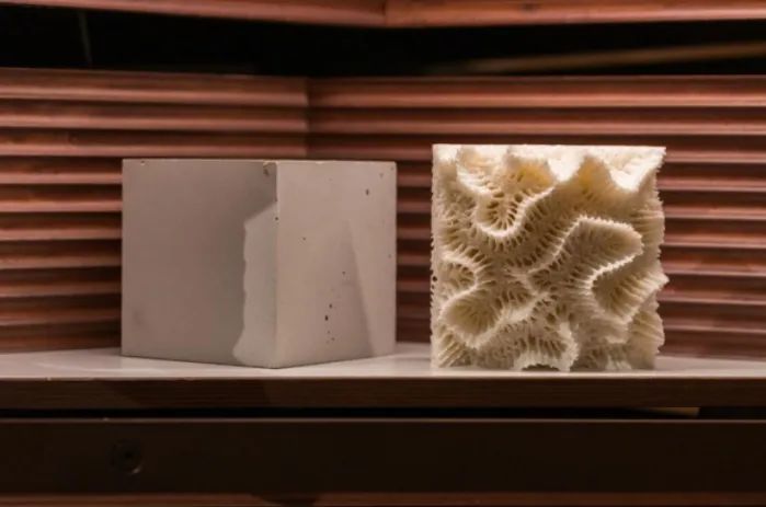 3D 打印混凝土人工魚礁，幫助修復(fù)海洋珊瑚礁生態(tài)環(huán)境 圖片