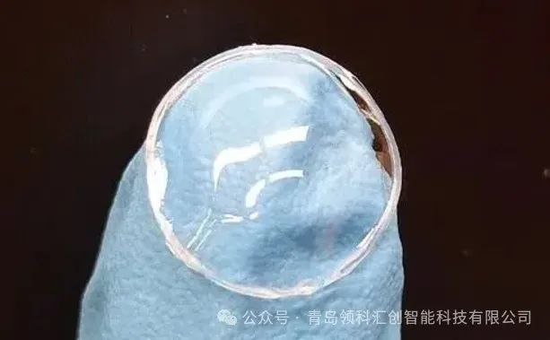 3D打印水凝膠隱形眼鏡，可在眼部持續(xù)釋放藥物 圖片